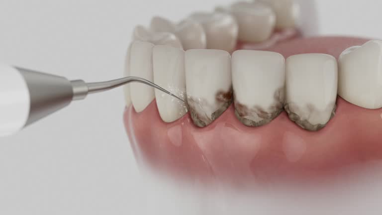 Reliable Dental contractor in Tignall, GA by Dentist Open Now